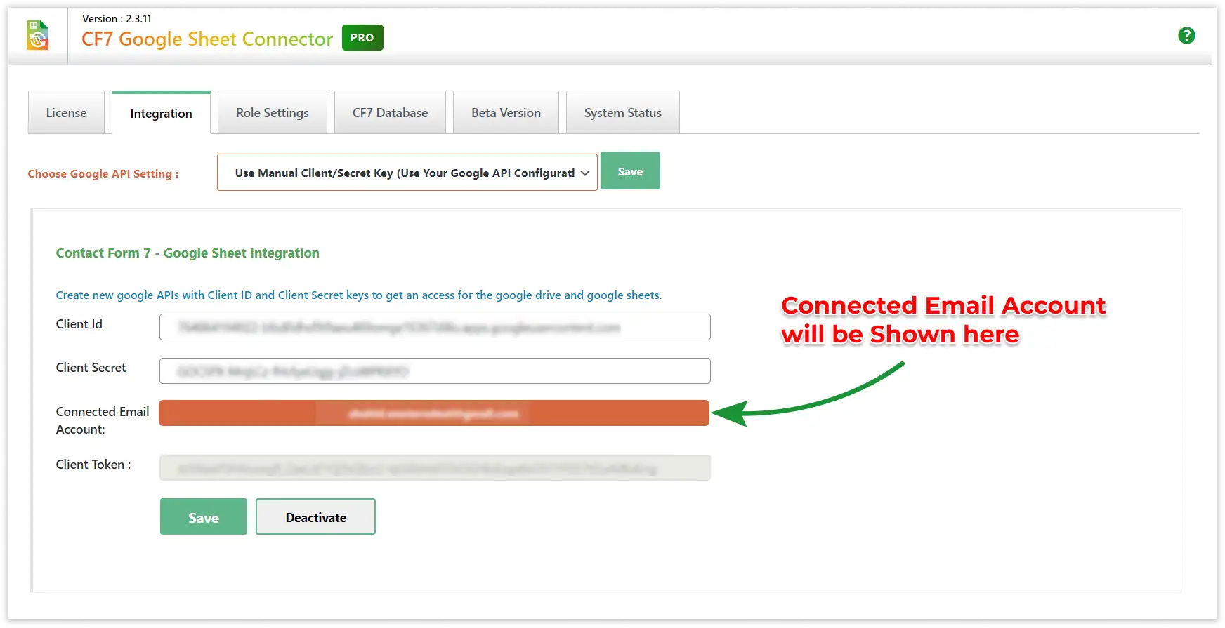 Google API Manual Integration Steps
