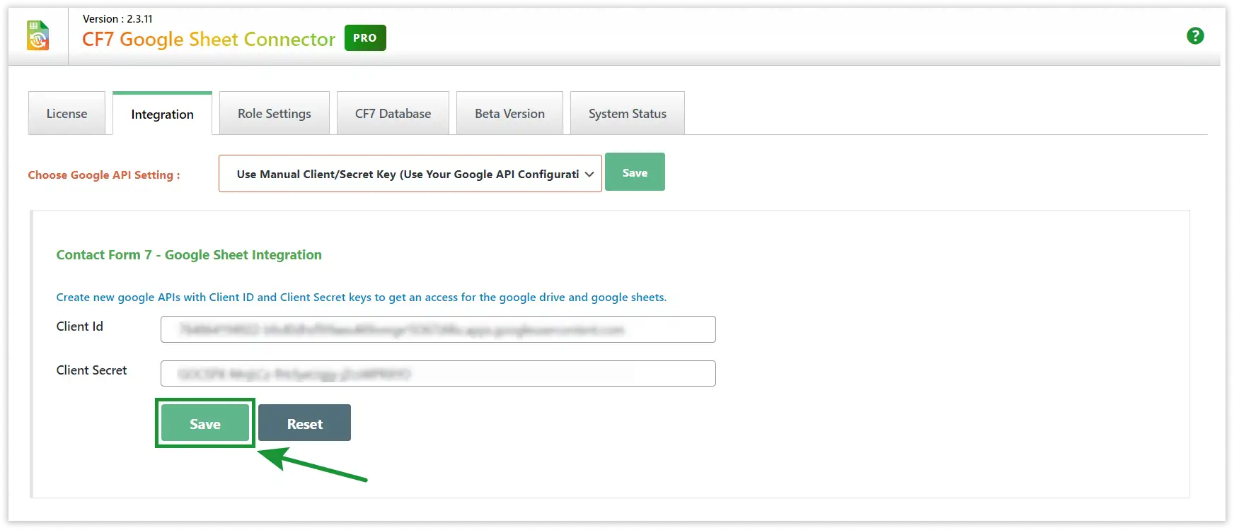 Google API Manual Integration Steps