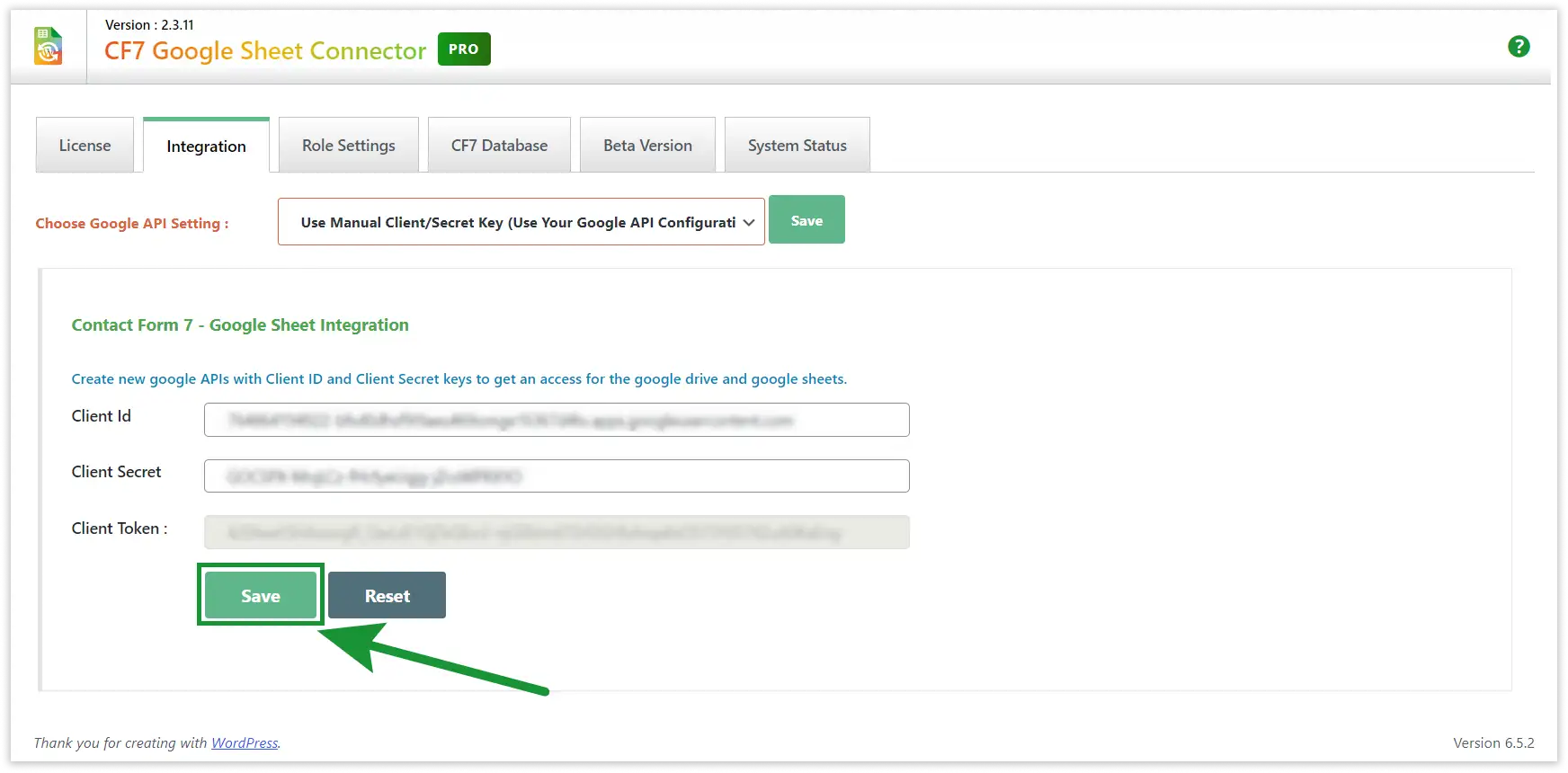Google API Manual Integration Steps