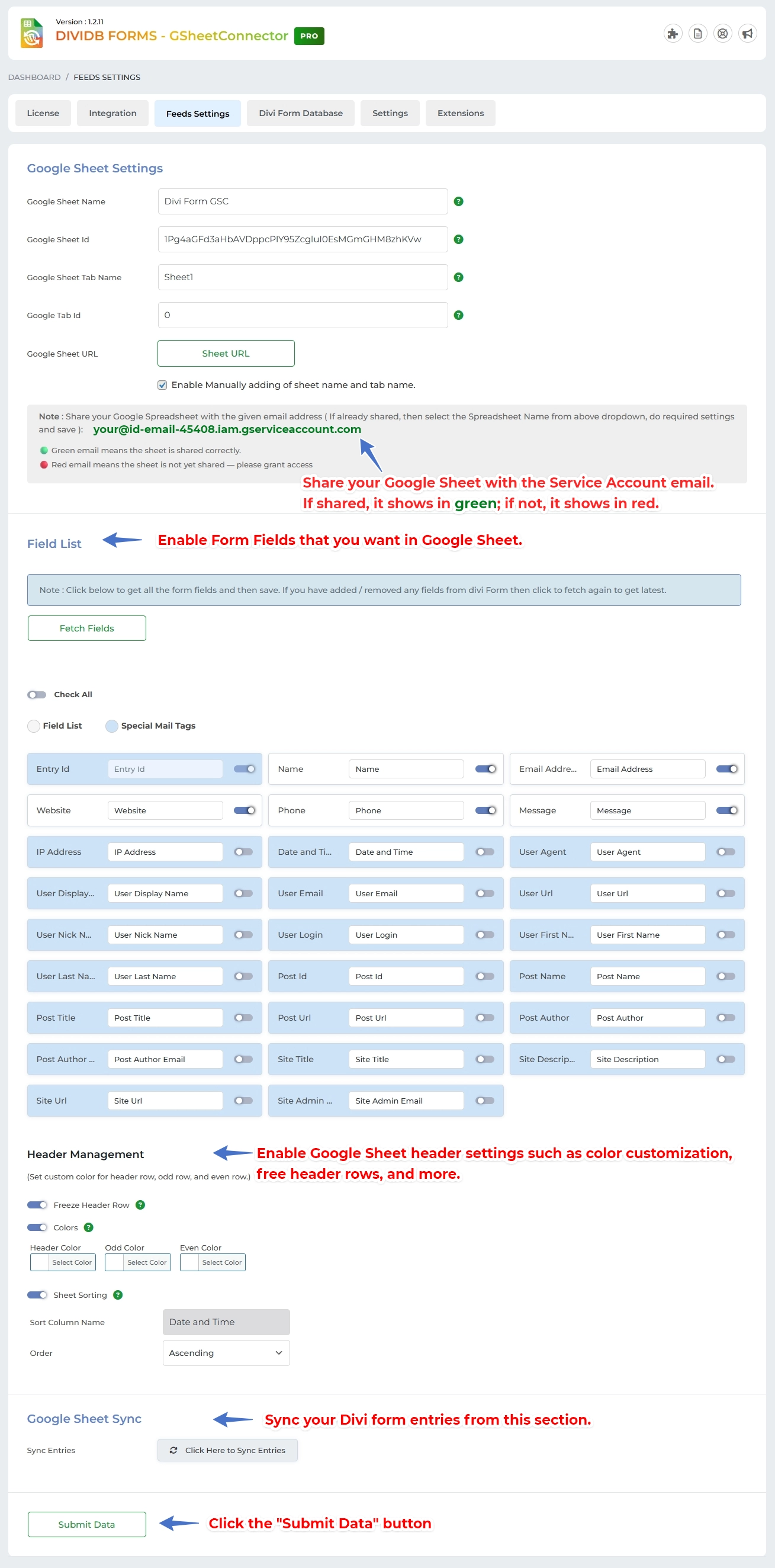 Google Sheet Connector Divi Form - Manual Setting
