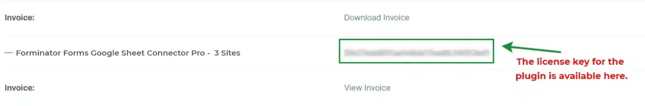 Forminator Forms Google Sheet Connector PRO Plugin Download