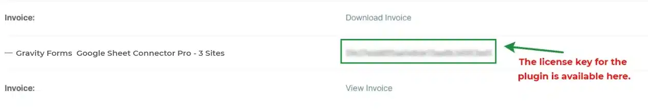 Gravity Forms PRO Installation - View Details and Downloads