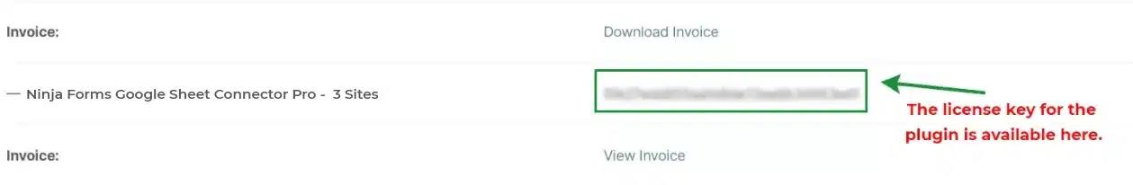 Activating Ninja Forms Google Sheet Connector PRO plugin
