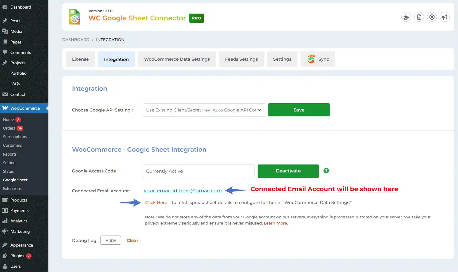 Manual Google API Integration setup guide