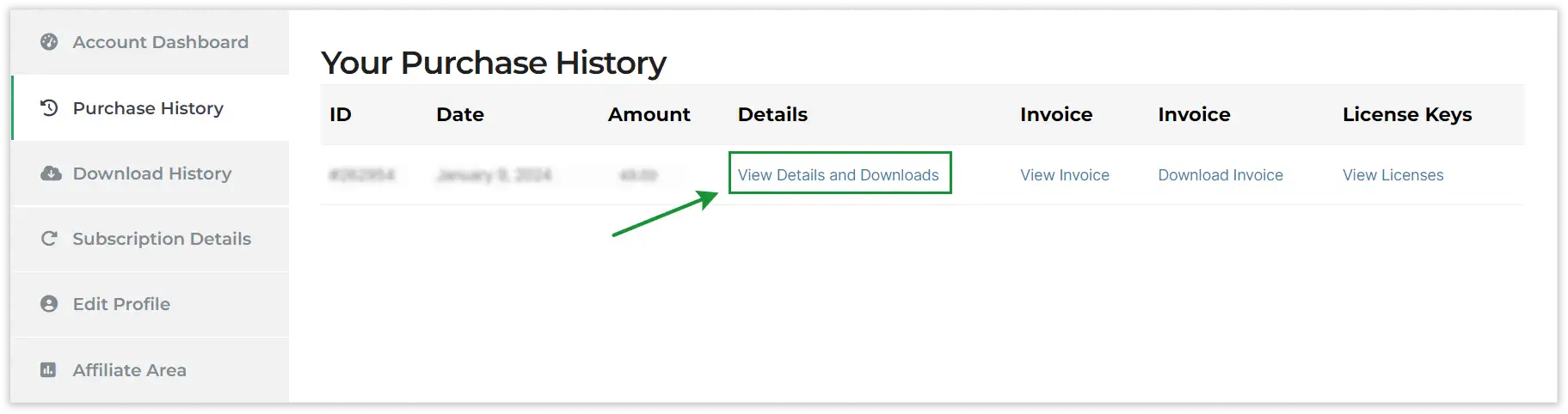 Update WordPress Plugin manually